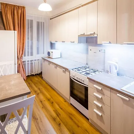 Apartment In The Center Lviv